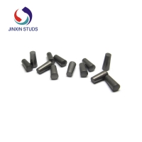 Carbide Pin (44)